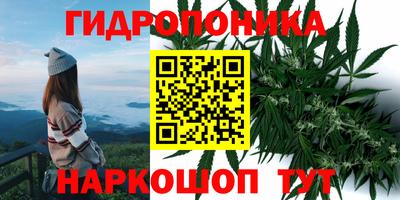 твердый Партизанск