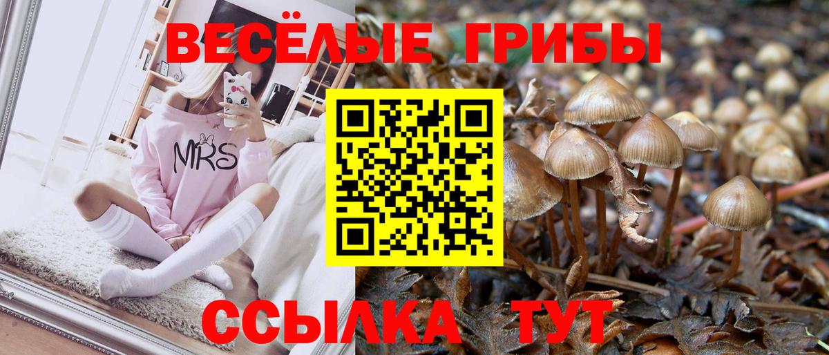 Сердобск  Псилоцибиновые грибы ЛСД  Вход с VPN 